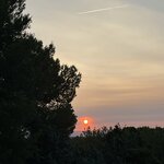 Photo taken by Diana S