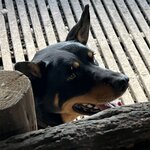 Photo taken by Rosemary S