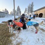 Photo taken by Alison D