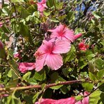 Photo taken by Tiffanie T