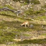 Photo taken by Devon B