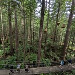 Photo taken by Thao T