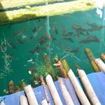 Photo taken by Brook D