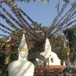 . | Photo taken by Robin B