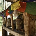 Photo taken by Tyler W