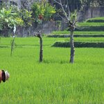 Photo taken by Laurence S