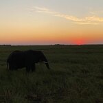 Photo taken by rafiq m