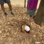 Photo taken by Lindy S