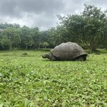 Photo taken by Jessica S