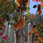 Photo taken by Jay H