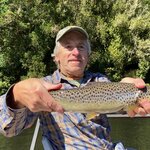 Photo taken by Joe S