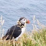 Photo taken by Eliza M