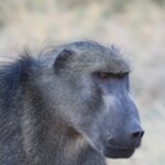 Photo taken by John B