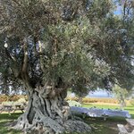 Photo taken by Catherine L