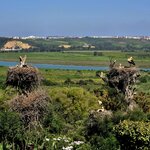 Photo taken by Bianca C