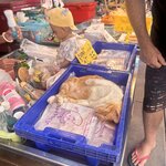 Photo taken by Lisa G