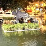 Photo taken by Margaret S