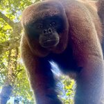 Photo taken by Tara O