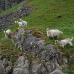 Photo taken by Chris M