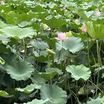 Photo taken by Tara S