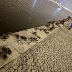 Photo taken by SANDRA V