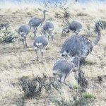 Photo taken by Douglas A