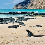 Photo taken by Katarzyna W