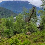 Photo taken by Jen S