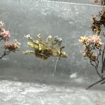 Photo taken by Tommy B