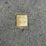 Photo taken by Lisa L