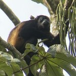 Photo taken by Donna G