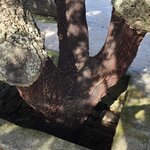 Photo taken by Laura R