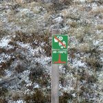 Photo taken by Cyd T