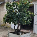 Photo taken by Audrey F