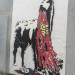 Photo taken by alton r