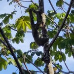 Photo taken by Mordechay T