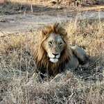 Photo taken by Tom B