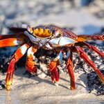 Photo taken by Vinay K