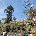 Photo taken by Cayden S