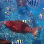 Photo taken by Dixie W