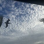 Photo taken by Jennifer Z