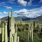 Photo taken by Julie S