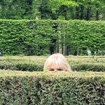 Photo taken by Audrey F