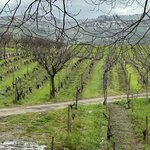 Photo taken by Ashley B