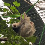 Photo taken by Victoria C