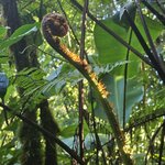 Photo taken by Touraj K