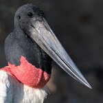 Photo taken by Matt W