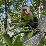 Photo taken by SANTHI S