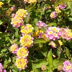 Photo taken by Mike T