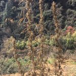 Photo taken by Ailson S